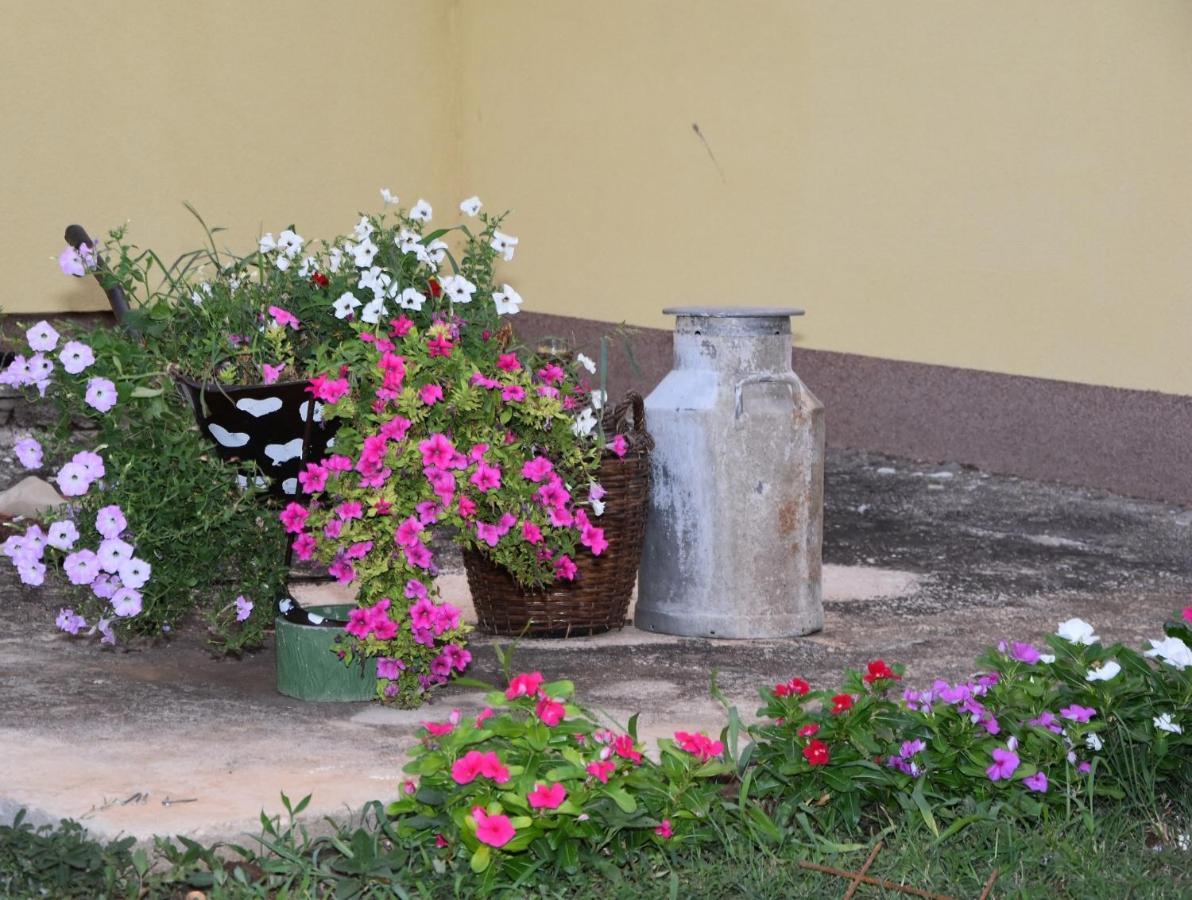 Villa Kutija Sveti Filip i Jakov Ngoại thất bức ảnh